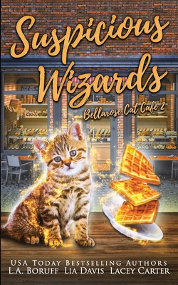Suspicious Wizards B0CGM2K7S5 Book Cover
