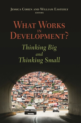 What Works in Development?: Thinking Big and Th... 0815702825 Book Cover