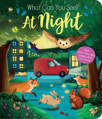 What Can You See? at Night: With Peek-Through P... 1680106155 Book Cover