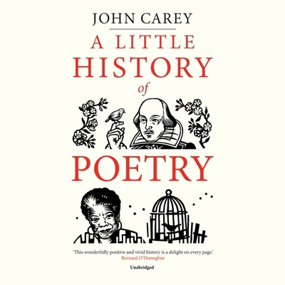 A Little History of Poetry 1094152315 Book Cover