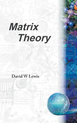 Matrix Theory (B/H) 9810206895 Book Cover