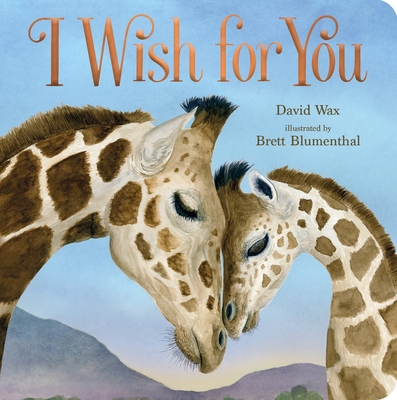 I Wish for You 1250293111 Book Cover