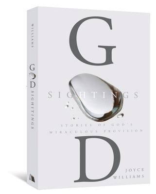 God Sightings: Stories of God's Miraculous Prov... 083412470X Book Cover