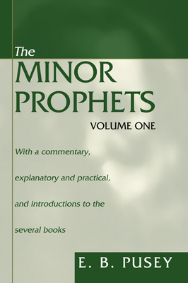 The Minor Prophets, 2 Volumes: With a Commentar... 1597521817 Book Cover