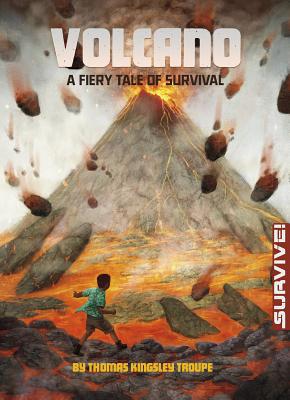 Volcano: A Fiery Tale of Survival 1496525558 Book Cover