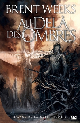 L'Ange de la Nuit T03 Au-delà des ombres [French] 2352943523 Book Cover