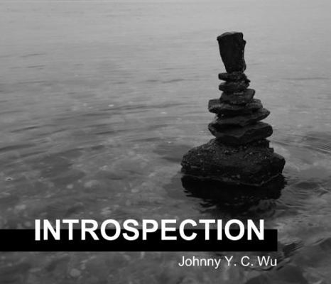 Paperback Introspection Book