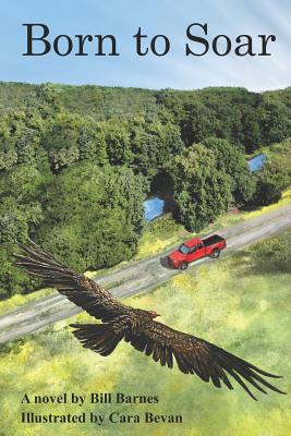 Born to Soar 1094822442 Book Cover