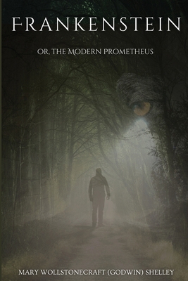 Frankenstein; or the Modern Prometheus (annotated) 2487438088 Book Cover