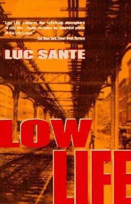 Low Life: Lures and Snares of Old New York 0679738762 Book Cover