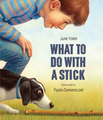 What to Do with a Stick 1568463650 Book Cover