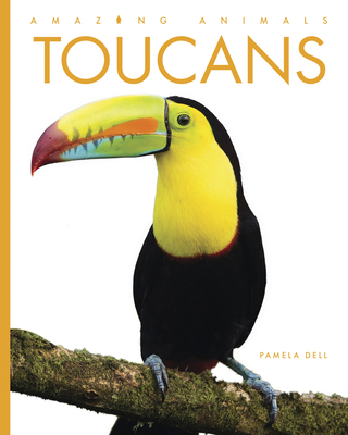Toucans B0H8ZN4YN5 Book Cover
