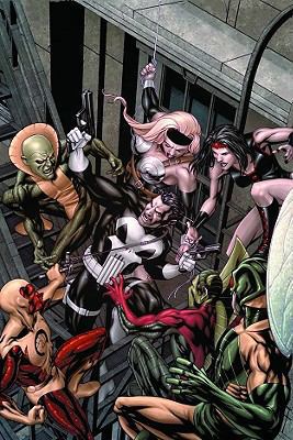 The Punisher Vol. 2: Dead End 0785142789 Book Cover