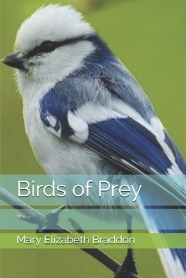 Birds of Prey B08HGNS3P7 Book Cover