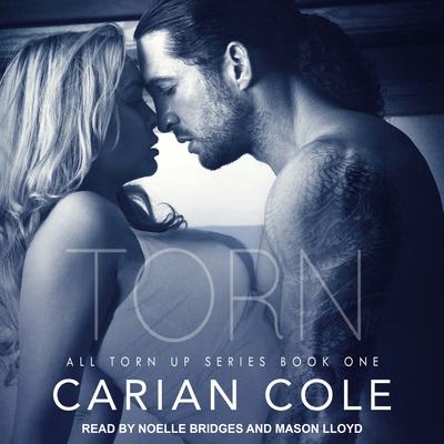 Torn 1515964361 Book Cover