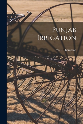 Punjab Irrigation 1014474965 Book Cover