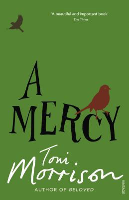 A Mercy B06XV9LF75 Book Cover