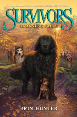 Darkness Falls 0062102664 Book Cover