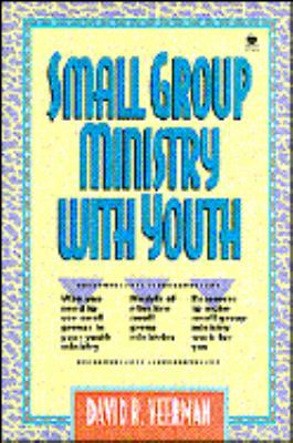 Small Group Ministry With Youth (Sonpower Youth... 0896939197 Book Cover