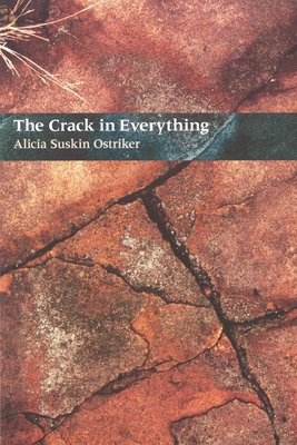 The Crack In Everything 0822955938 Book Cover