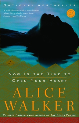 Now Is the Time to Open Your Heart 0812971396 Book Cover