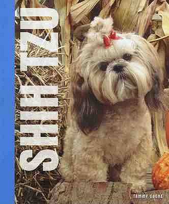 Shih Tzu. Tammy Gagne 1842861603 Book Cover