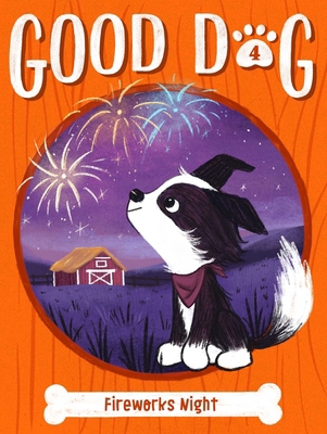 Fireworks Night 1534495320 Book Cover
