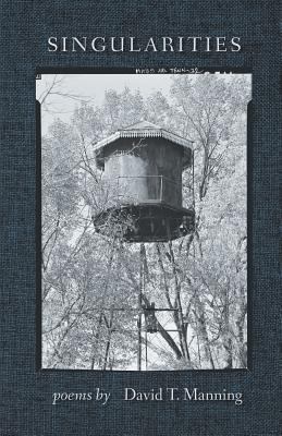 Singularities 1635345332 Book Cover
