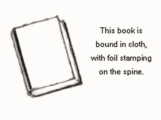 Treating Attachment Pathology 0765701308 Book Cover