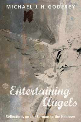 Entertaining Angels: Reflections on the Sermon ... 1498296874 Book Cover