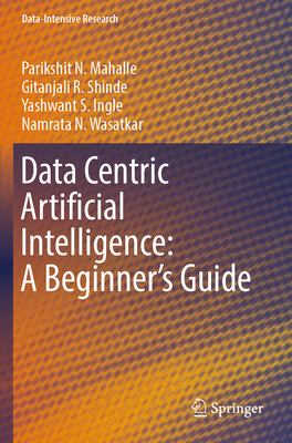 Data Centric Artificial Intelligence: A Beginne... 9819963559 Book Cover