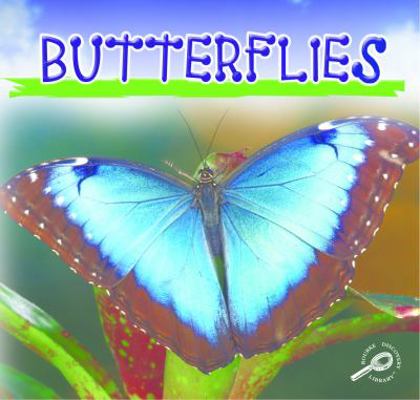 Butterflies 1595157395 Book Cover