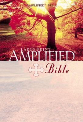 Large Print Bible-AM [Large Print] 0310951720 Book Cover