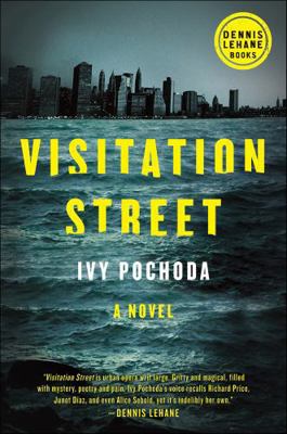 Visitation Street 0062249916 Book Cover