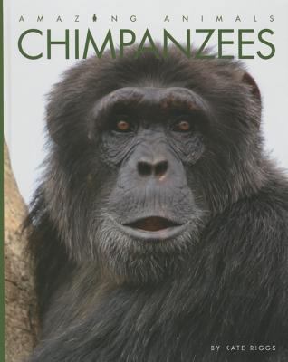 Chimpanzees 1608186105 Book Cover