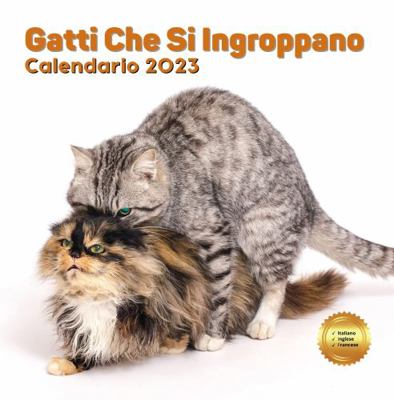 Paperback Gatti Che Si Ingroppano Calendario 2023 : Idea Regalo Divertente per Donna Uomo Amico Colleghi Amante Dei Gatti: Idea Regalo per Scherzo, Compleanno, Natale Book