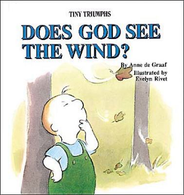 Does God See the Wind? (Tiny Triumphs Series) 0687071496 Book Cover