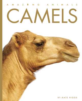 Camels 1682770966 Book Cover