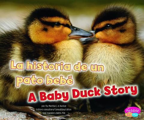 La Historia de Un Pato Bebé/A Baby Duck Story [Spanish] 1429692197 Book Cover