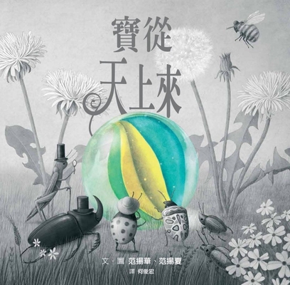 Treasure from Heaven [Chinese] 6267295265 Book Cover