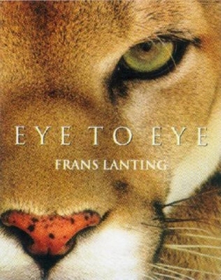 Eye to Eye: Intimate Encounters with the Animal... 3822828300 Book Cover