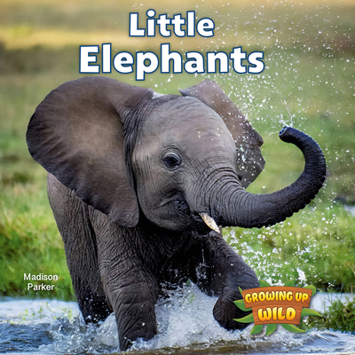 Little Elephants 1978574126 Book Cover