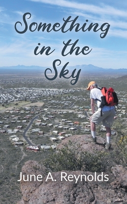 Something in the Sky 1648957641 Book Cover