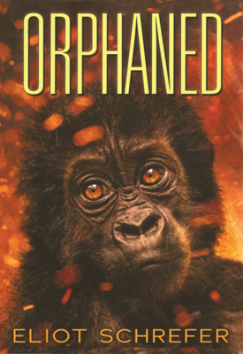 Orphaned B0GMYTN7J8 Book Cover