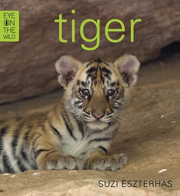 Tiger 1847806562 Book Cover