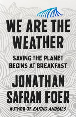 We Are the Weather: Saving the Planet Begins at... 0735233071 Book Cover