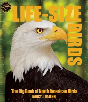 Life-Size Birds: The Big Book of North American... 162686439X Book Cover