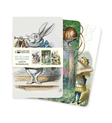 Alice in Wonderland Set of 3 Mini Notebooks 1787559149 Book Cover