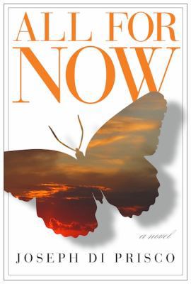 All for Now 1596923717 Book Cover