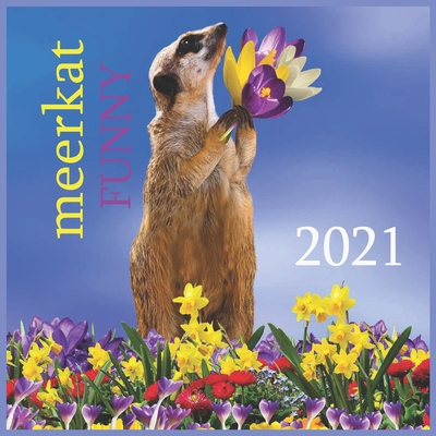 Paperback FUNNY meerkat: 2021 Wall & Office Calendar, 12 Month Calendar Book